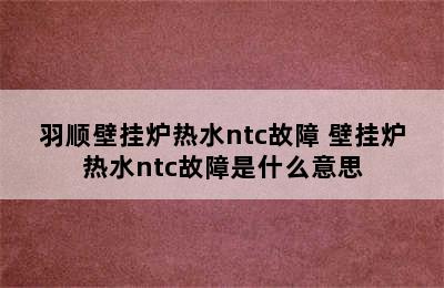 羽顺壁挂炉热水ntc故障 壁挂炉热水ntc故障是什么意思